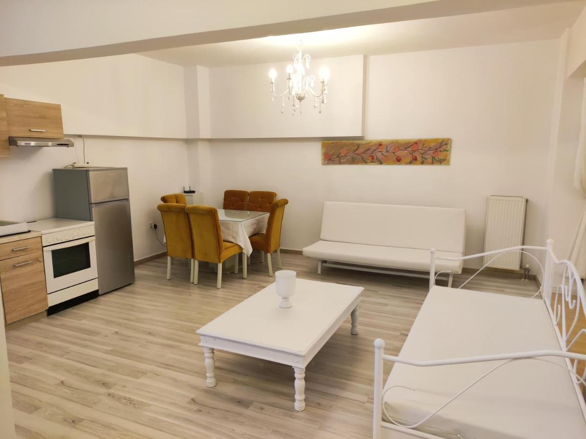 Superior Chic Family Apartment كالامباكا المظهر الخارجي الصورة